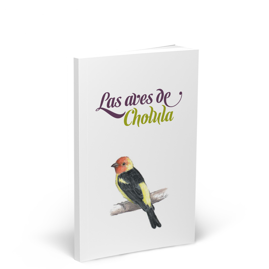 Portada del libro Las aves de Cholula