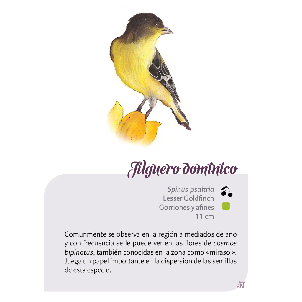 Texto interior del libro Las aves de Cholula