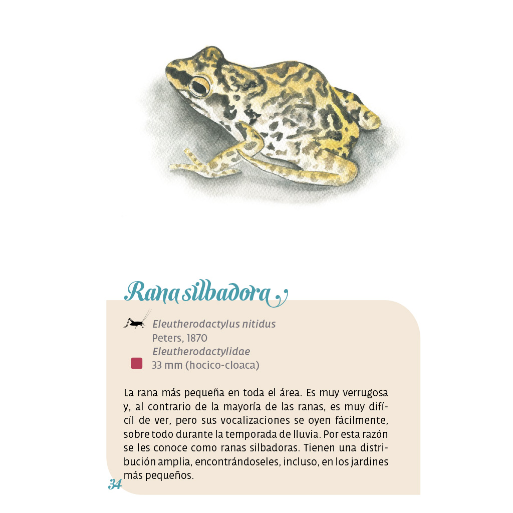 Texto interior del libro Los anfibios y reptiles de Cholula