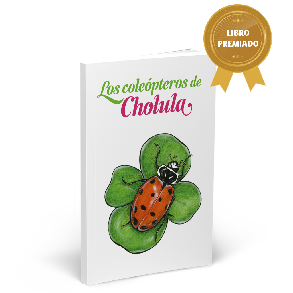 Los coleópteros de Cholula Portada del libro Los coleópteros de Cholula