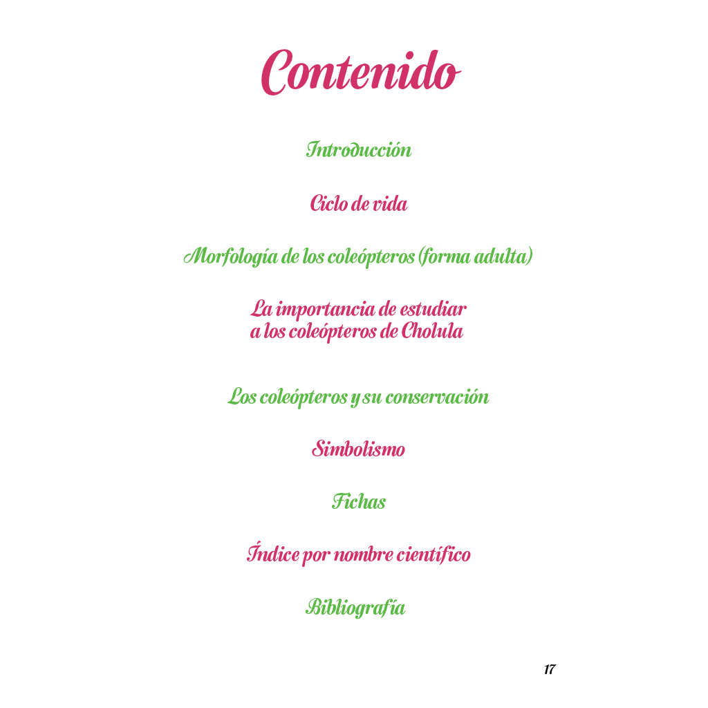 Índice del libro Los coleópteros de Cholula