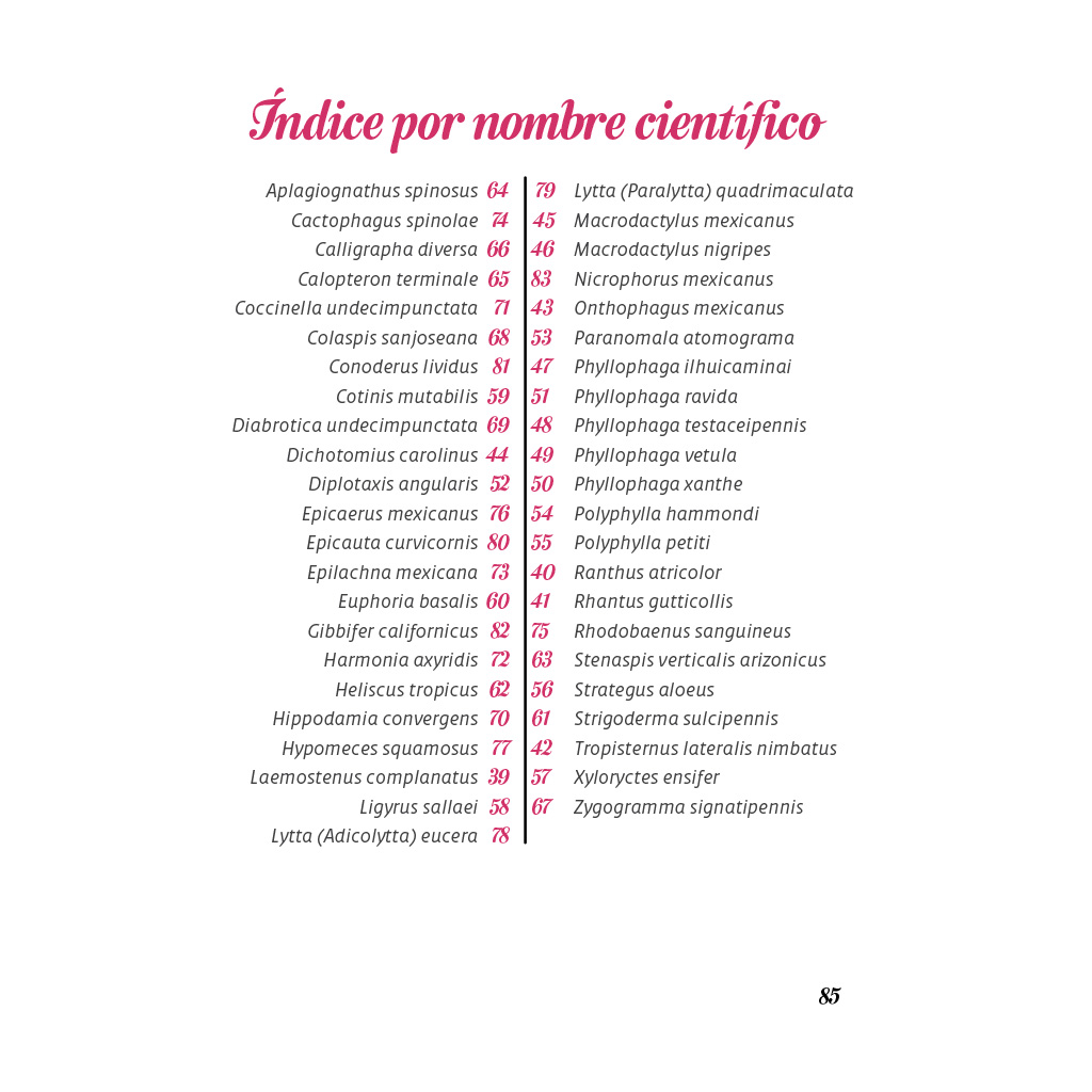 Índice científico del libro Los coleópteros de Cholula