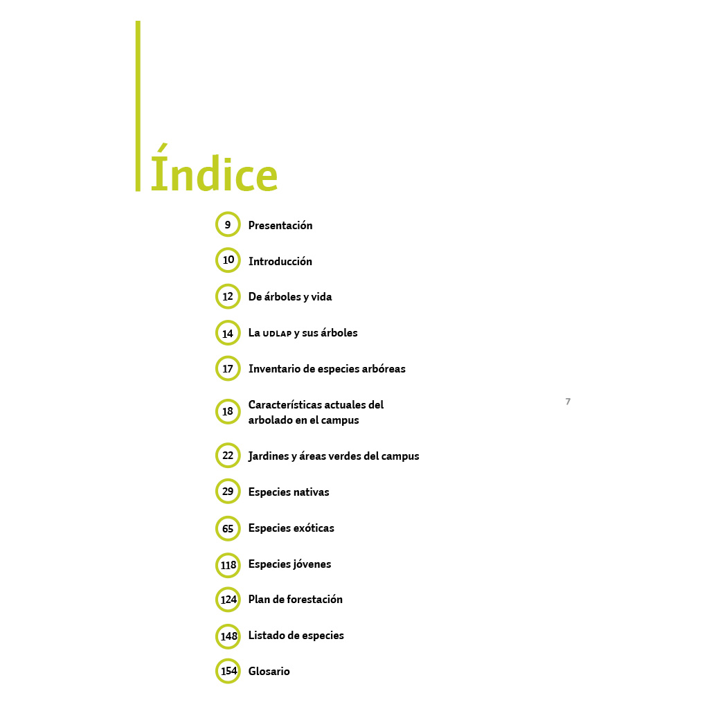 Índice del libro UDLAP verde
